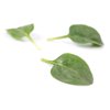 RATEL RZ F1 product photo view-3 S