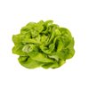 OSTRIA RZ product photo front S