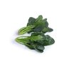 SILVERSIDE RZ F1 (51-OR206) product photo view-3 S