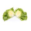 TOMBELO RZ product photo view-2 S