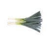 VELUM RZ product photo view-2 S