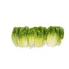 RAWONDER RZ (41-CO7661) product photo front S