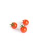 MIRANTE RZ F1 product photo view-2 S
