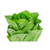 CONCENTRUS RZ  product photo view-2 S
