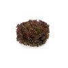 MINERAL RZ product photo front S