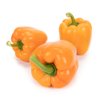TITO RABAT RZ F1 product photo view-2 S