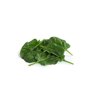 SEROW RZ product photo view-3 S