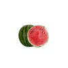 JARYIN RZ F1 product photo front S