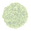 KRISTINE RZ (83-37) product photo front S