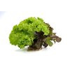 Salatriomix 4 (3x5tpc) product photo front S