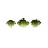 SUYAI RZ (83-559) product photo view-5 S