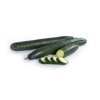 MARITIMO RZ product photo view-2 S