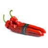 PALERMO RZ F1 product photo view-2 S