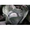 RESIMA RZ F1 product photo view-2 S