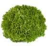 EXPERTISE RZ product photo front S