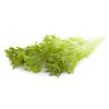 EXPERTISE RZ product photo view-4 S