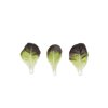 ABSOLON RZ product photo view-3 S
