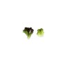 CONTRAI RZ (83-566) product photo view-5 S