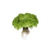 LAMARRE RZ product photo view-3 S