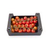 TASTERY RZ F1 (72-136) product photo view-5 S