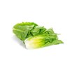 CONCENTRUS RZ  product photo front S
