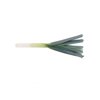 VELUM RZ product photo view-3 S