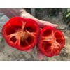 BASOLIA RZ F1 (35-BR1912) product photo view-3 S