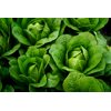 GRADARA RZ (41-112) product photo view-3 S