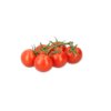 CURZIO RZ F1 product photo front S