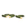 CENGEL RZ F1 product photo front S