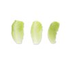 SUMMERITA RZ (41-CR2433) product photo front S