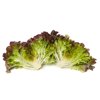 PRUNAÏ RZ product photo view-3 S