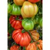 ARALDINO RZ F1 product photo front S