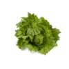 TOSCANAS RZ product photo front S