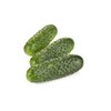 SCHERZO RZ F1 (12-FM325) product photo front S