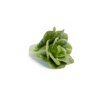 SAMPEDRO RZ product photo view-3 S