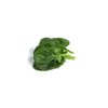 SEROW RZ product photo front S