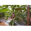 10-902 RZ product photo view-3 S