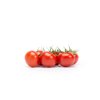 SENSERNO F1 (72-245) Produktbild view-3 S