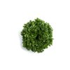 CRYSTIQUE (44-CL1573) Knox™ product photo front S