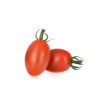 CALDINO F1 (72-161) product photo view-4 S