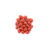 RASBORA RZ F1 (72-020) product photo view-3 S