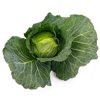 CACHUMA RZ F1 product photo view-3 S
