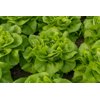 WELDON RZ product photo front S