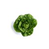 BURELA RZ Knox™ product photo front S
