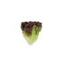 CORAINE RZ Knox™ product photo view-2 S