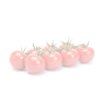 GARRIOSO RZ F1  product photo front S