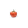 DESPINA RZ F1 product photo front S