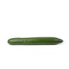PROLOOG RZ F1 (24-148) product photo front S