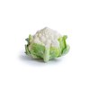 WHITAKER F1 (26-RW705) product photo view-2 S